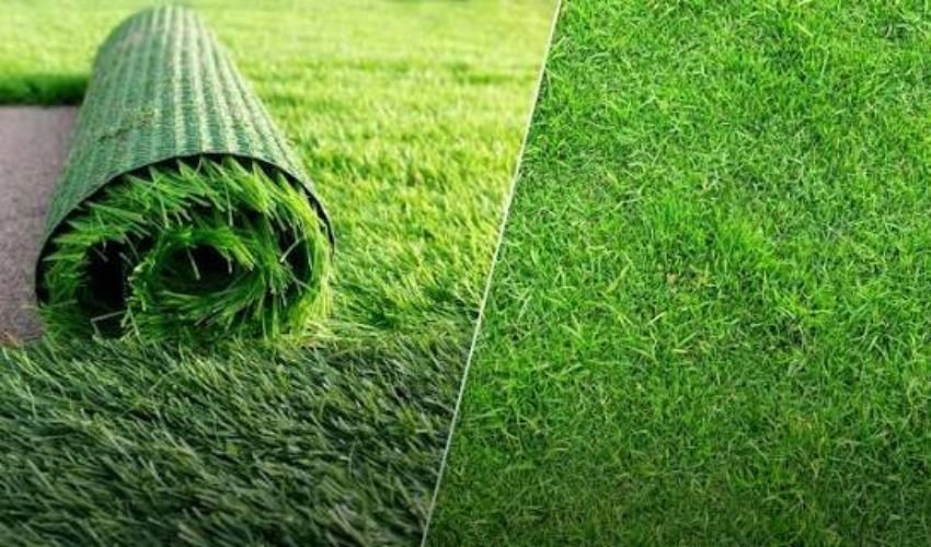 Artificial Turf vs Natural Grass 
