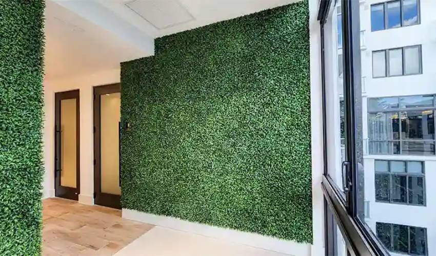 Entrance and Hallway Green Wall Design