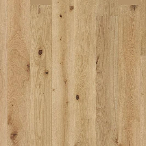Natural wooden texture close up
