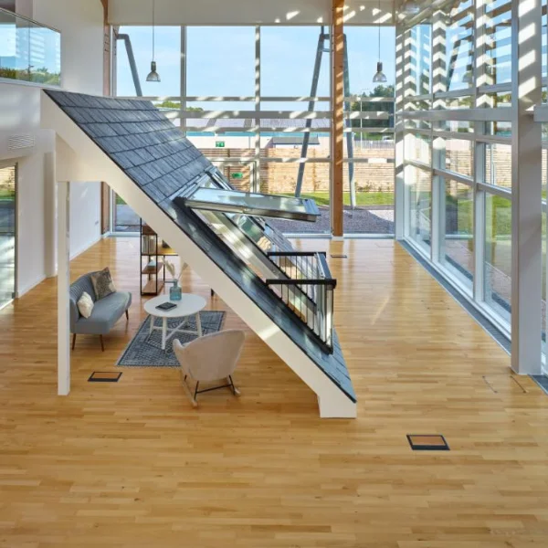 Beech Wood Flooring