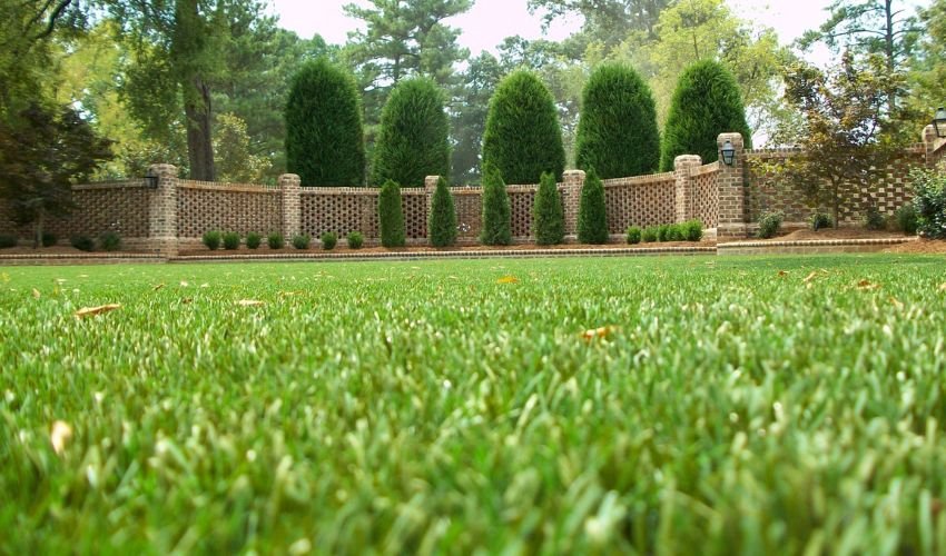 Biggest Advantages of Artificial Grass for Your Garden 
