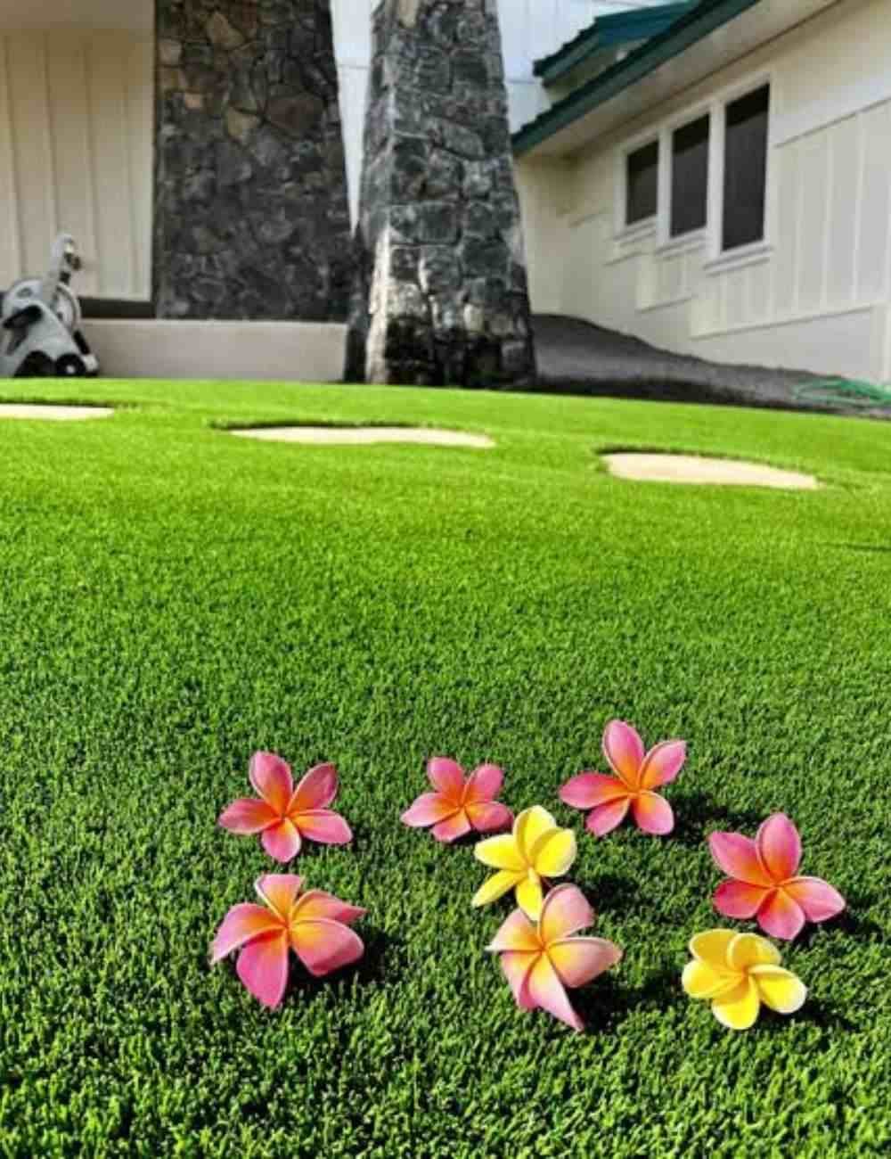 Derwent Artificial Grass
