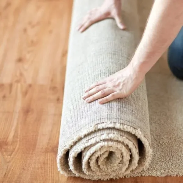 Professional Carpet Installation