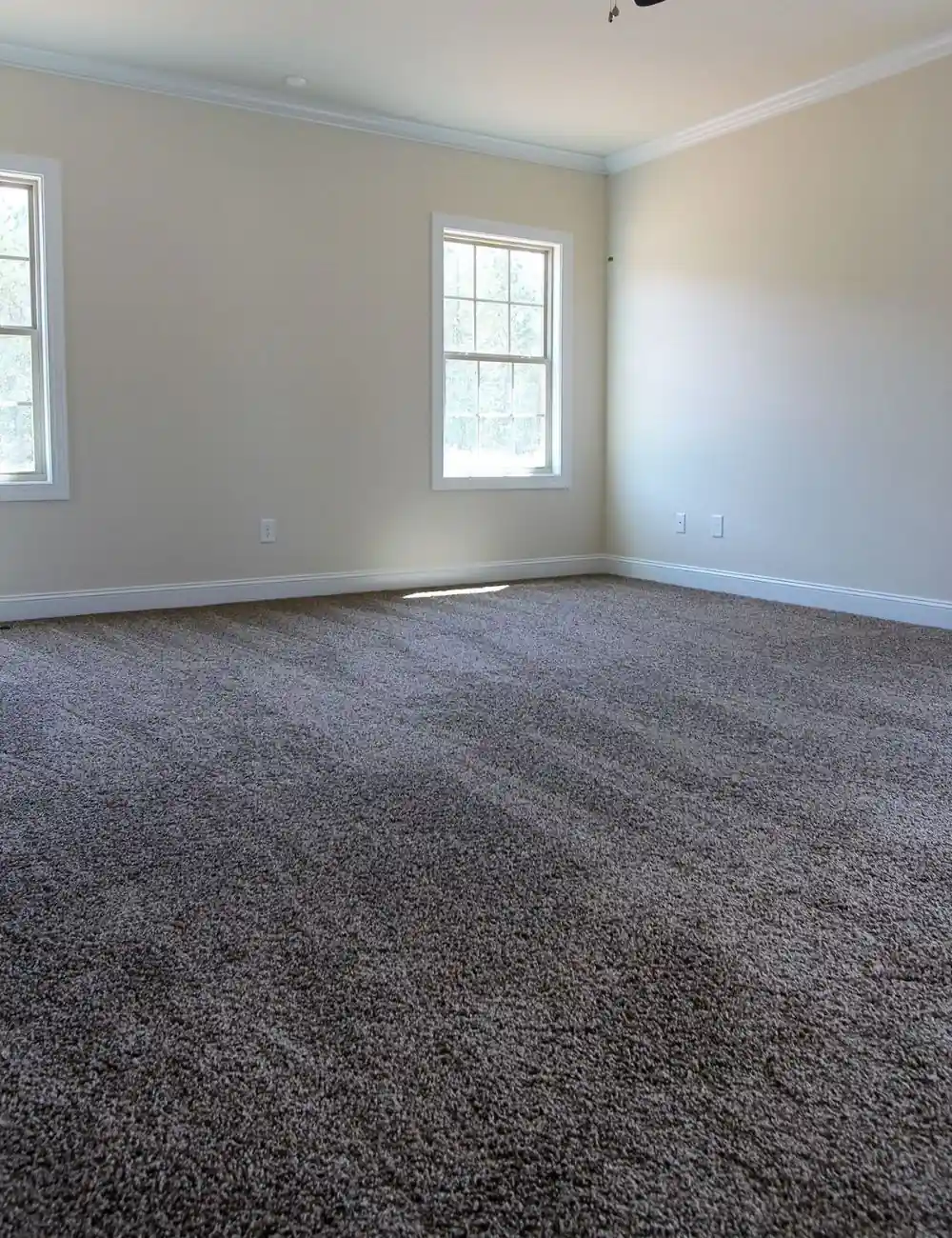 Luxury plush wall to wall carpet interior design