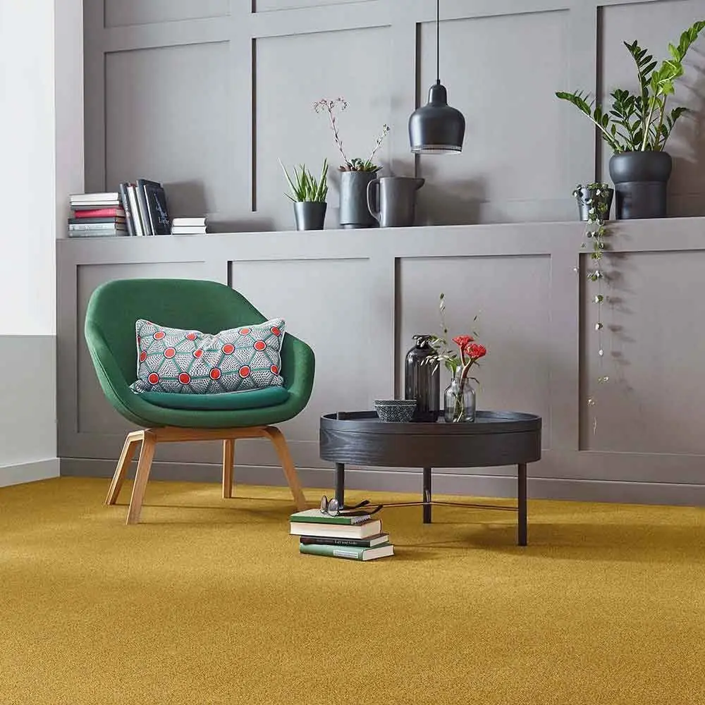 Cozy space design with premium wall to wall carpeting