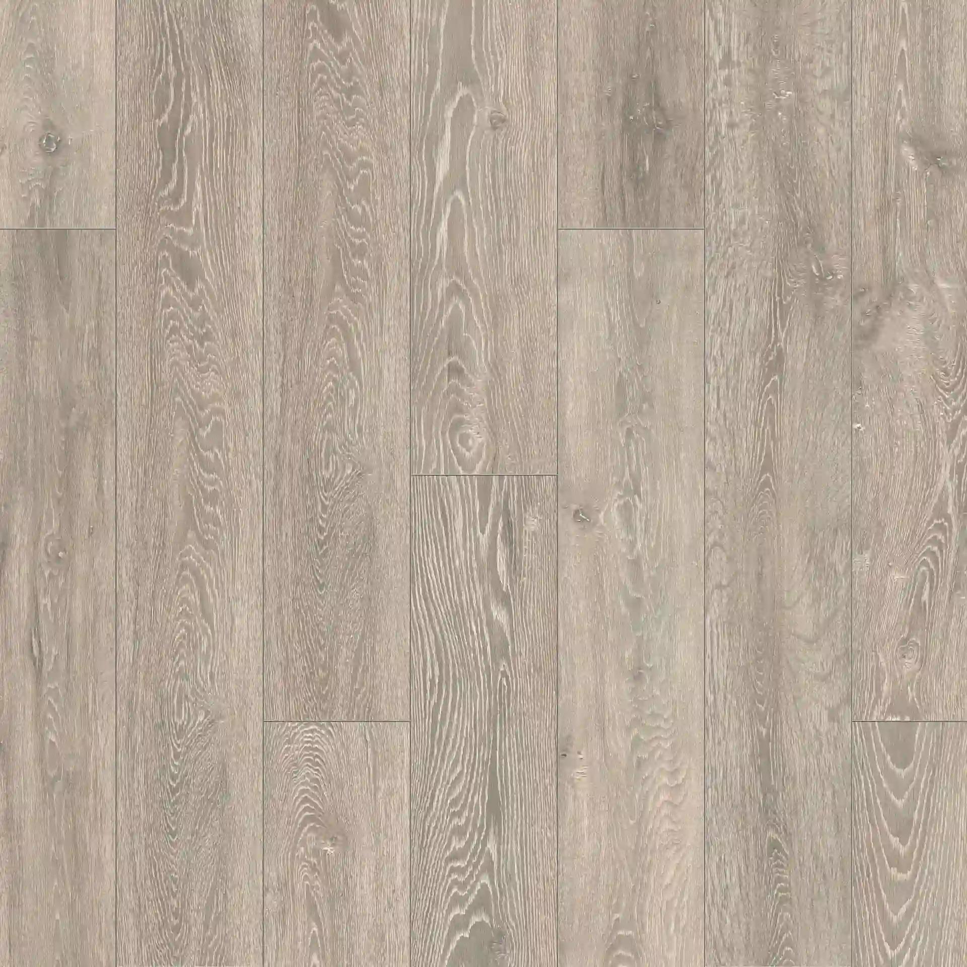 Shimla Grey Oak 8mm Laminate Flooring